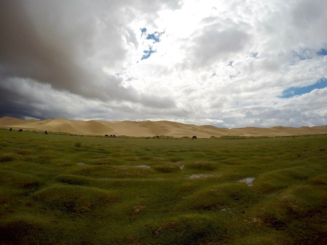 Photograph by Jameel Haiat