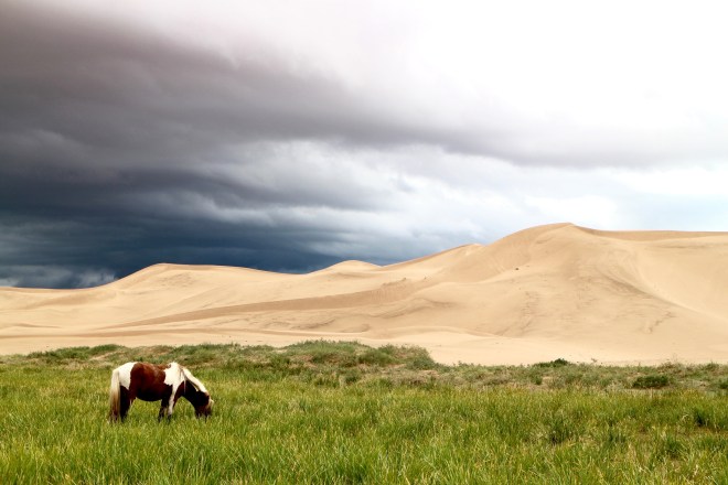 Photo by Hilcia Pena