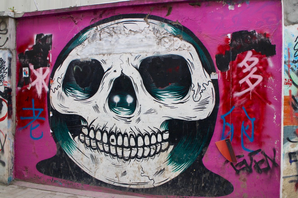 M50 Skull Art