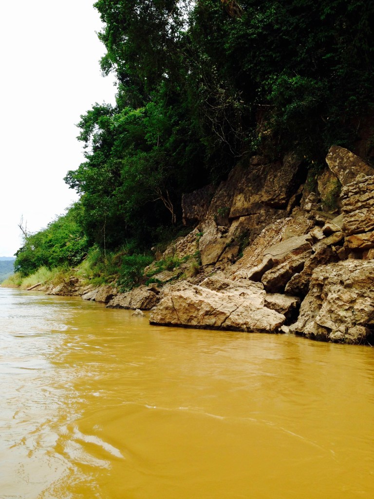 Mekong Mud
