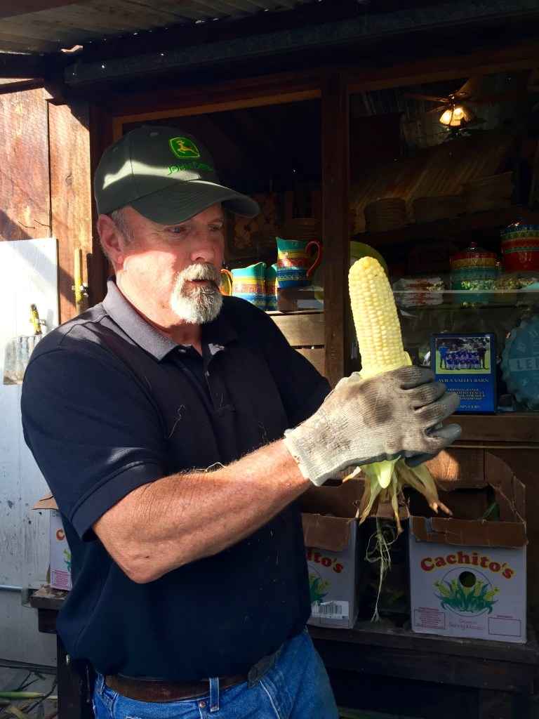 Avila Valley Barn Corn