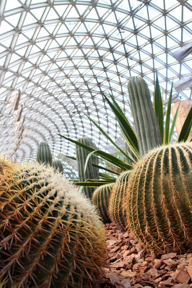 Chenshan Greenhouse Cacti