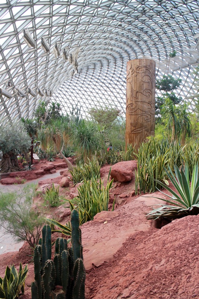 Greenhouse Cacti Garden