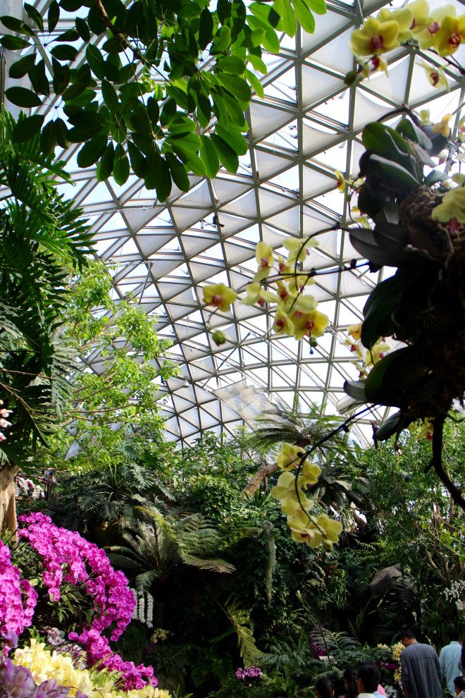 Inside the Greenhouse