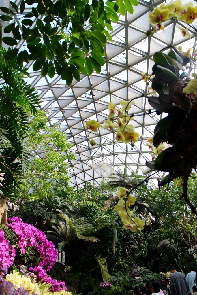 Inside the Greenhouse