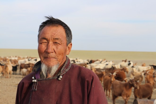 Gobi Goat Herder