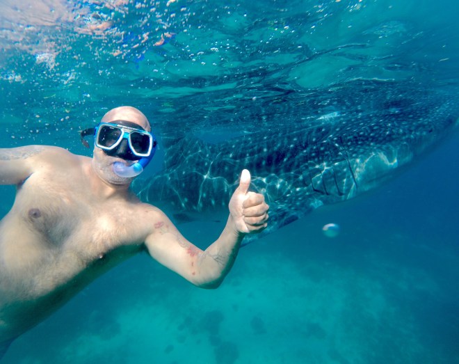 Oslob Whale Sharks