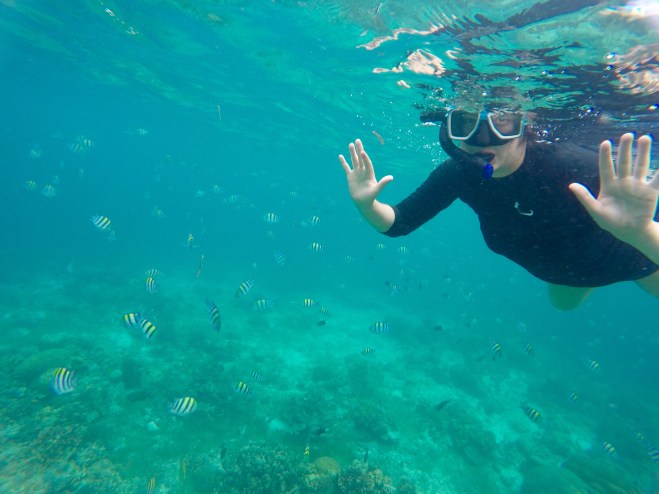 H Snorkeling 
