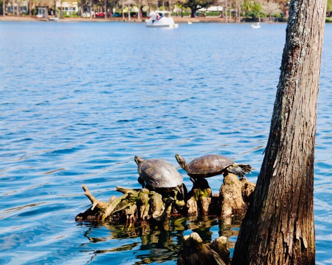 Lake Eola