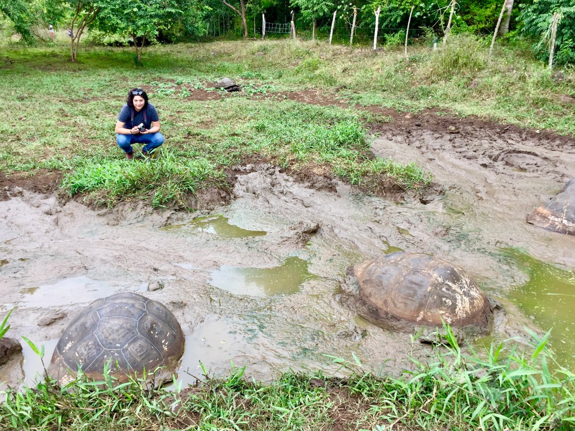 Hilcia with Galápagos Tortoises