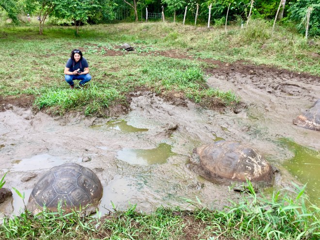 Hilcia with Galápagos Tortoises