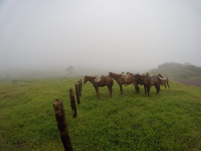 Sierra Negra Volcano