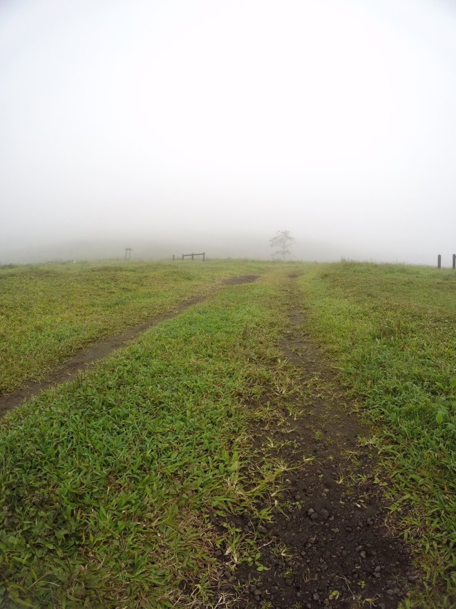 Sierra Negra Volcano