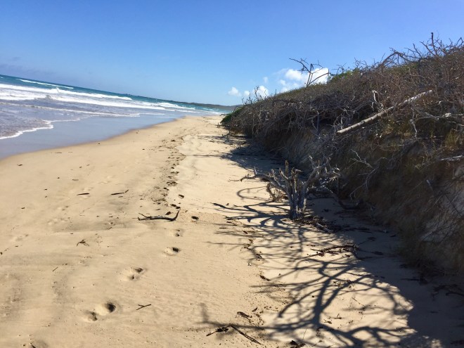 Isabela Island Beach